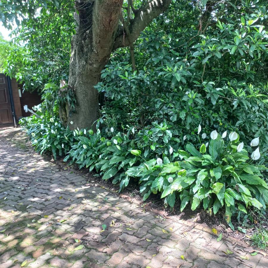 18 Pioneer Bnb Kloof Zewnętrze zdjęcie
